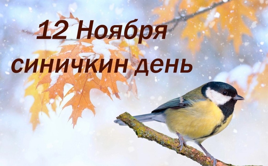 Синичкин день сценарий. Синичкин день в детском саду. Синичкин день в детском.